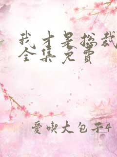 我才是总裁夫人全集免费