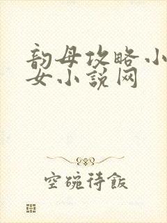 韵母攻略小说恶女小说网