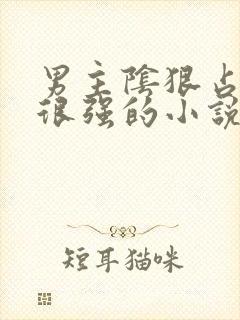 男主阴狠占有欲很强的小说现