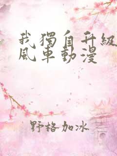 我独自升级动漫风车动漫