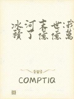 冰河末世:我囤积了亿亿万物资txt小说