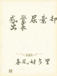 感觉尿意却尿不出来