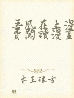 吾凰在上漫画免费阅读漫画