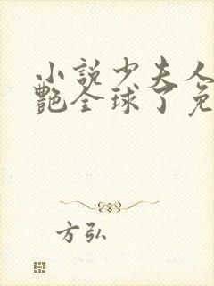 小说少夫人她惊艳全球了免费阅读