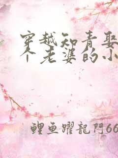 穿越知青娶了三个老婆的小说