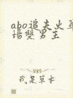 abo追夫火葬场双男主