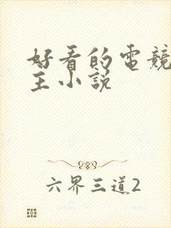 好看的电竞双男主小说