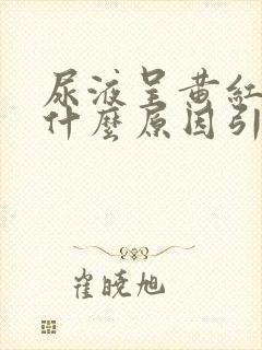 尿液呈黄红色是什么原因引起的