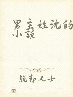 男主姓沈的言情小说