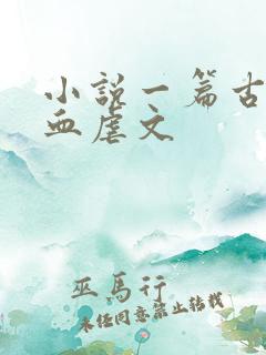 小说一篇古早狗血虐文