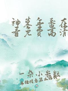 神墓年番在线观看免费高清完整版