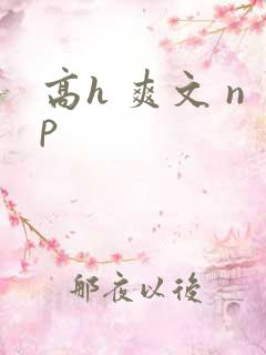 高h 爽文 np