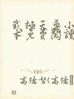 武极天尊小说全本免费阅读