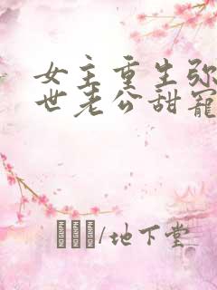 女主重生弥补前世老公甜宠文