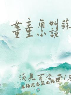 女主角叫苏洛的重生小说