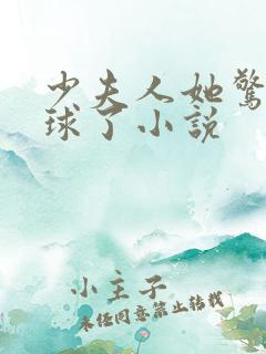 少夫人她惊艳全球了小说