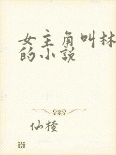 女主角叫林辛言的小说