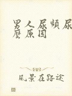 男人尿频尿是什么原因