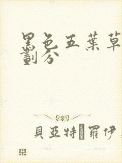 黑色五叶草篇章划分