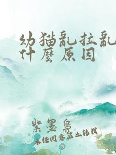 幼猫乱拉乱尿是什么原因