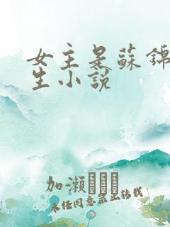 女主是苏锦的重生小说