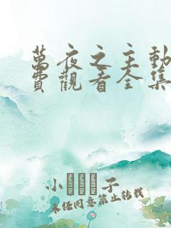 万夜之主动漫免费观看全集