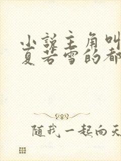 小说主角叫叶辰夏若雪的都市小说