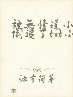 被无情道小师弟倒追了txt小说下载