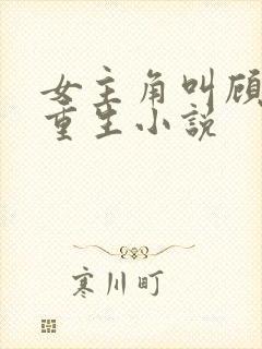 女主角叫顾清欢重生小说