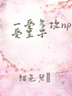 一受多攻np总受生子