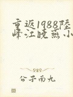 重返1988陆峰江晓燕小说名字