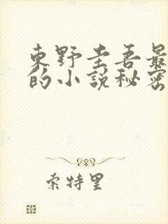 东野圭吾最好看的小说秘密