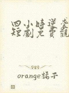 四小时逆袭指南短剧免费观看