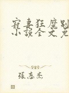 宠妻狂魔别太坏小说全文免费阅读