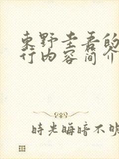 东野圭吾的白夜行内容简介