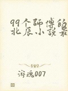 99个师傅的叶北辰小说最新章节