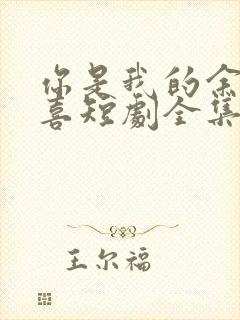 你是我的余生欢喜短剧全集