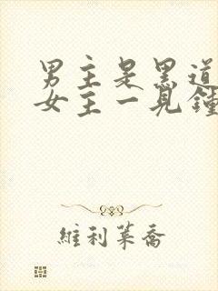 男主是黑道,对女主一见钟情