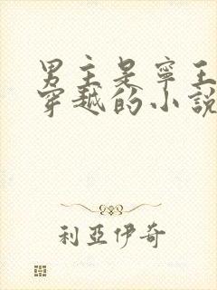 男主是宁王女主穿越的小说