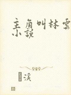 主角叫林云全部小说