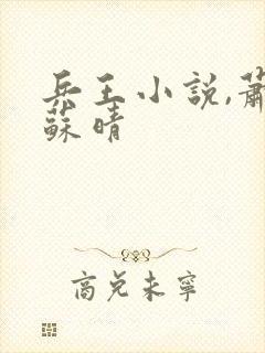 兵王小说,萧晨苏晴