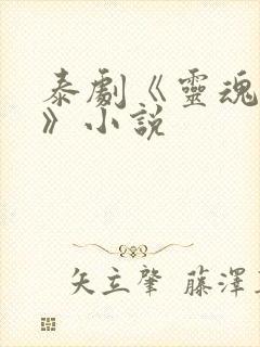 泰剧《灵魂重生》小说