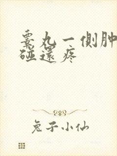 睾丸一侧肿大一碰还疼