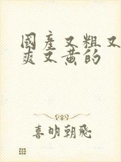 国产又粗又猛又爽又黄的