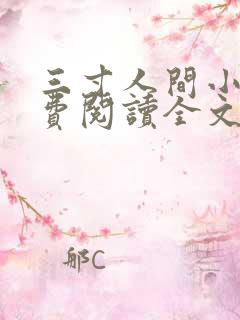 三寸人间小说免费阅读全文无删减