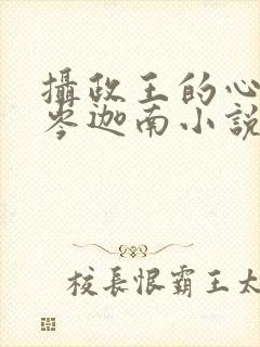 摄政王的心头宠岑迦南小说