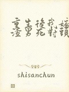 重生后我嫁给了渣男死对头