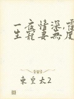 一夜情深,霍先生宠妻无度全文免费阅读