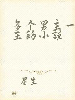 多个男主一个女主的小说