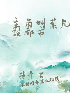 主角叫叶凡的小说都市